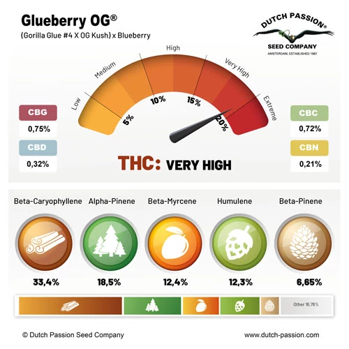 Glueberry OG cannabinoids and terpenes